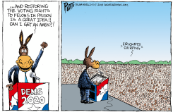 VOTING RIGHTS FOR FELONS by Bruce Plante