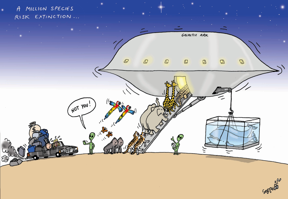 Galactic ark