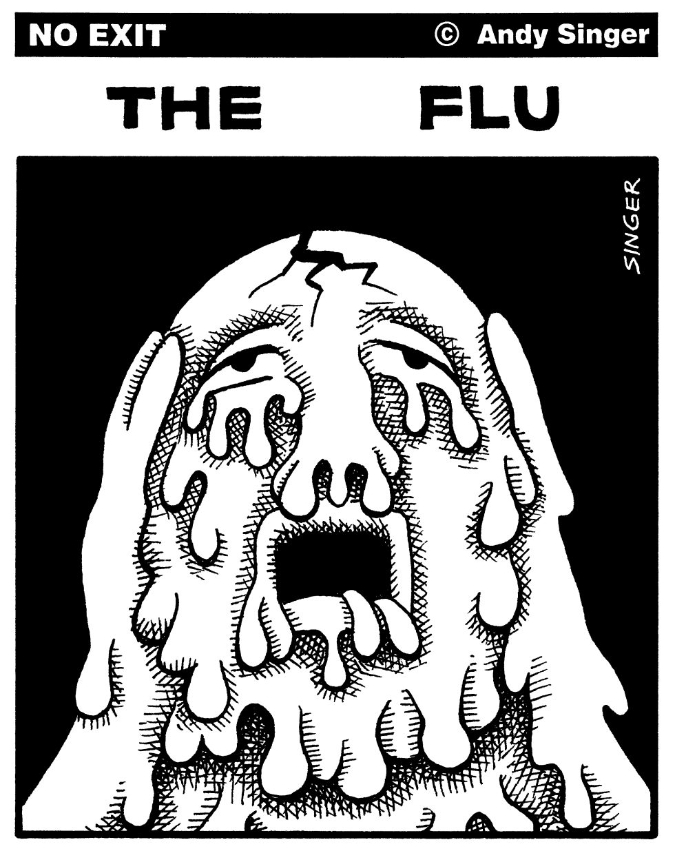 The Flu