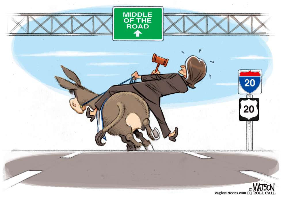 Pelosi Democrats