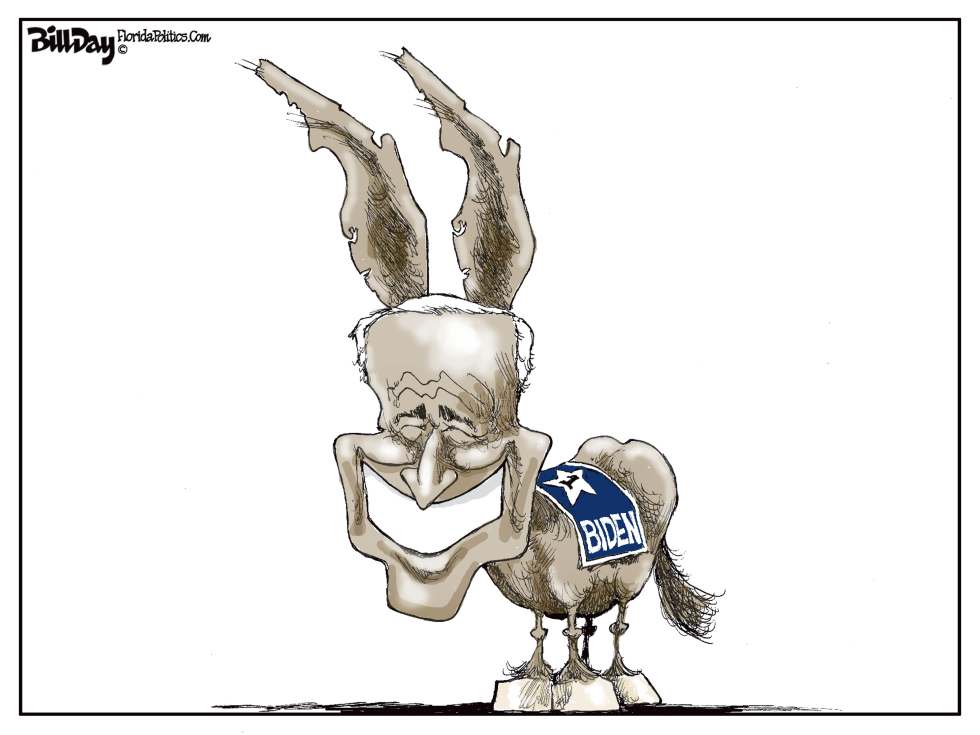 Biden Donkey Ears
