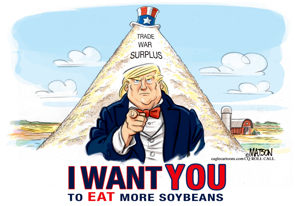 China Trade War Soybean Surplus