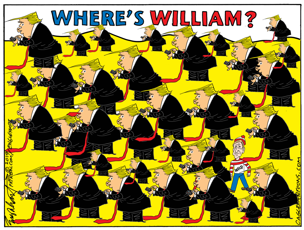 William Weld Candidacy