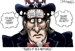 NUTS by Joe Heller