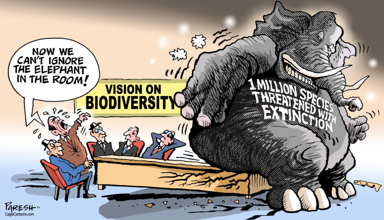 Political cartoon on biodiversity with giant elephant in room