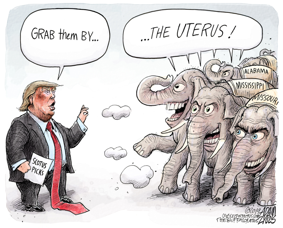  POWER GRAB by Adam Zyglis