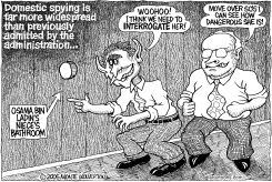 DOMESTIC SPYING by Monte Wolverton