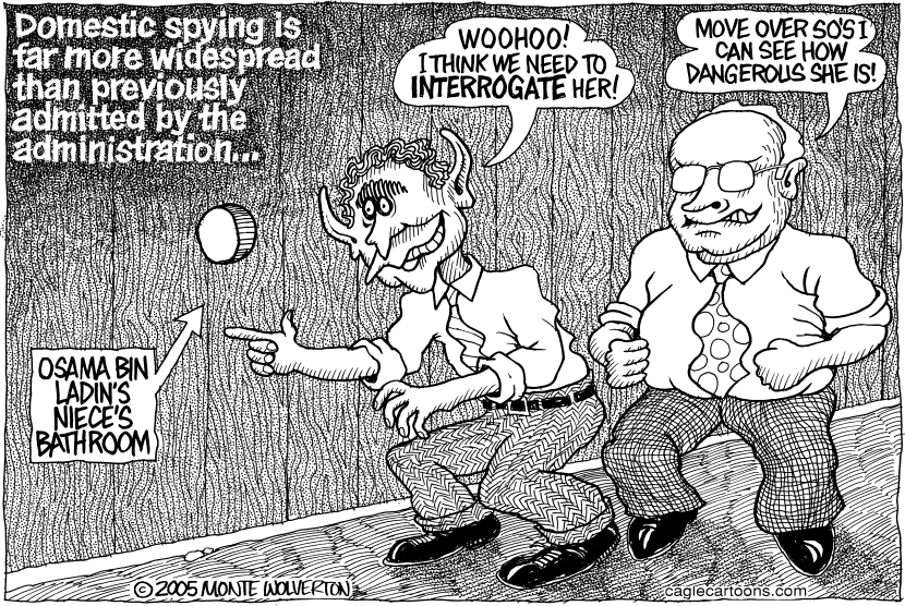 Domestic Spying