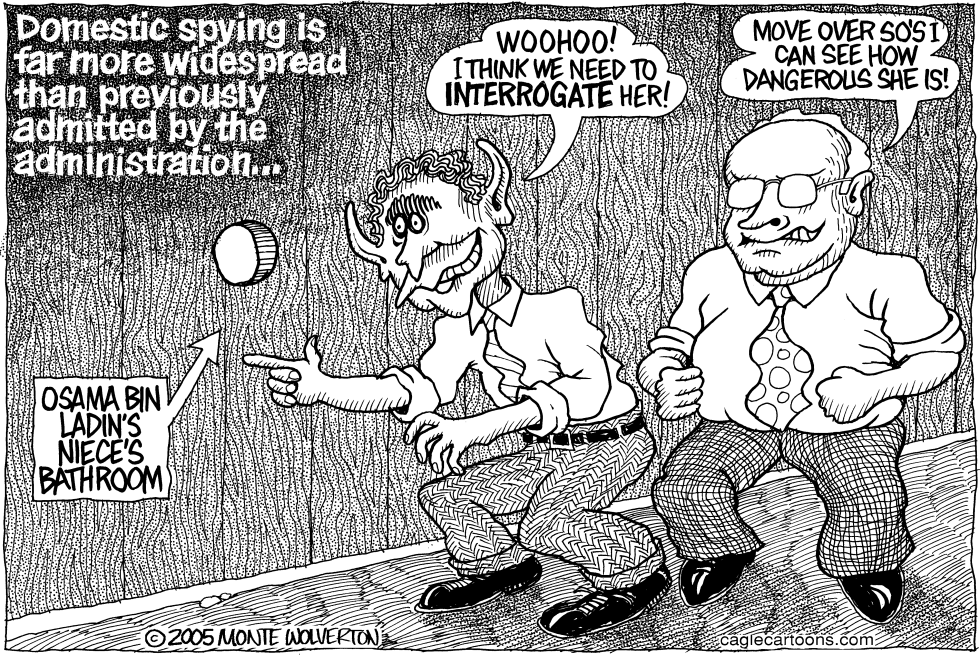 Domestic Spying