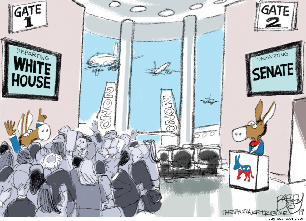  DONKEY AIR by Pat Bagley