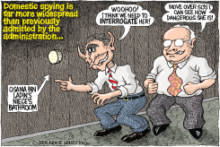 DOMESTIC SPYING  by Monte Wolverton