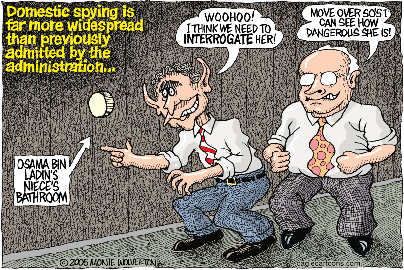 Domestic Spying COLOR