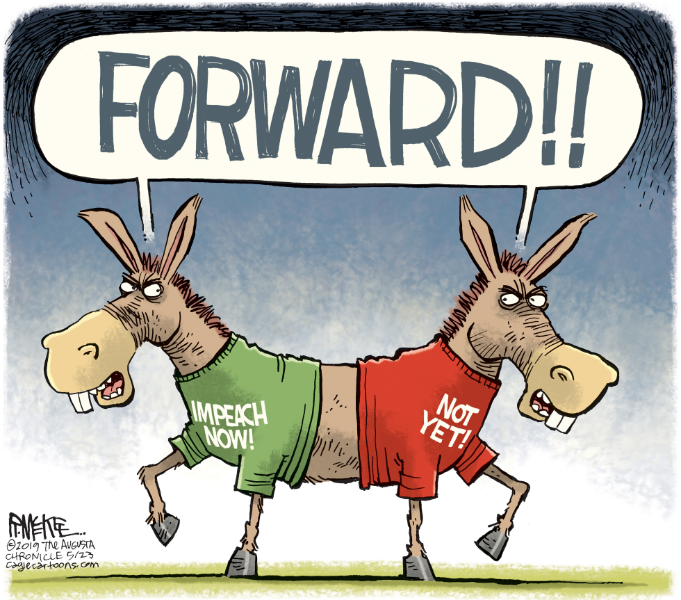 Democrats Torn