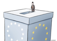 EU PARLIAMENT ELECTIONS by Niels Bo Bojesen