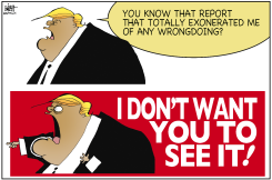 THOSE PAPERS TRUMP DOESN'T WANT YOU TO SEE by Randy Bish