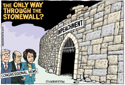 THROUGH THE STONEWALL by Monte Wolverton