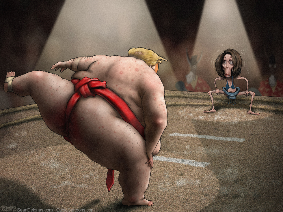 Donald Trump Nancy Pelosi