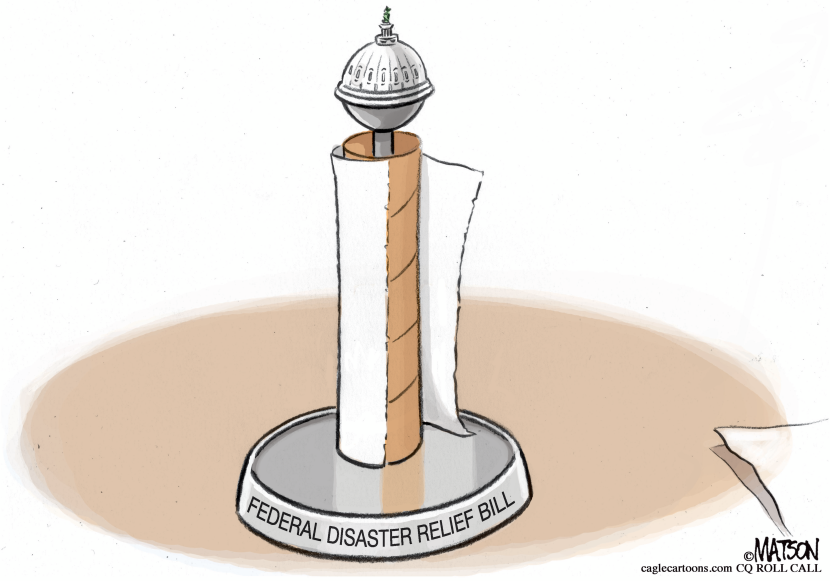 Federal Disaster Relief Paper Towels