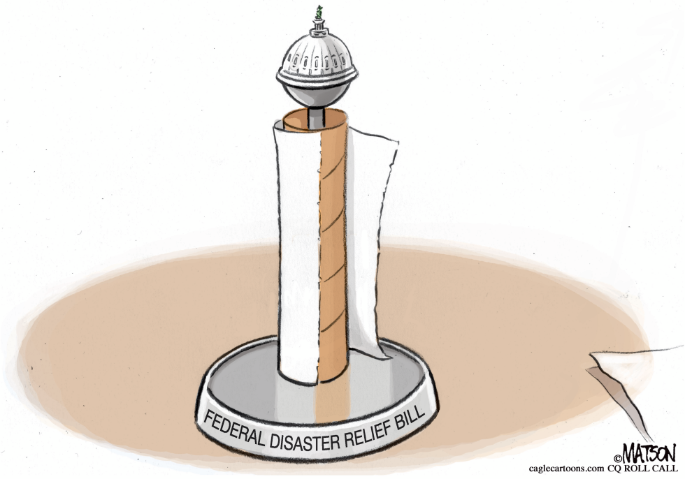 Federal Disaster Relief Paper Towels