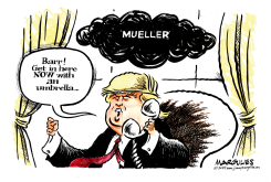MUELLER AND TRUMP by Jimmy Margulies