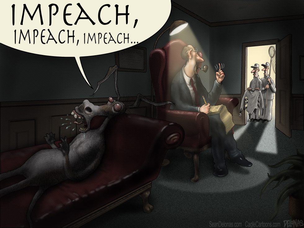 Democrats Crazy