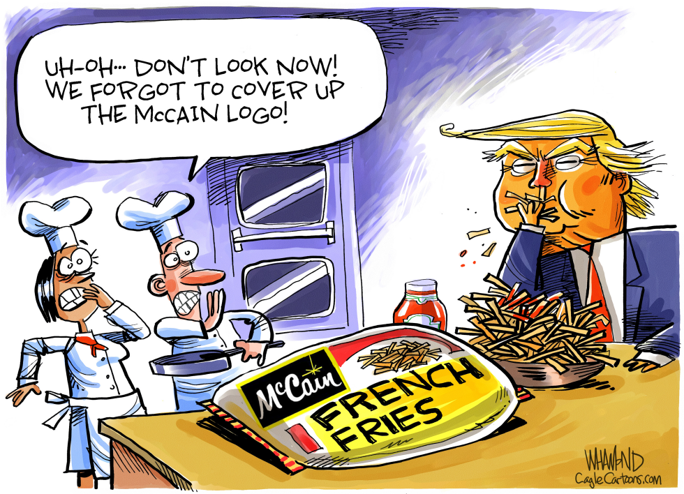  MCCAIN COVER UP by Dave Whamond