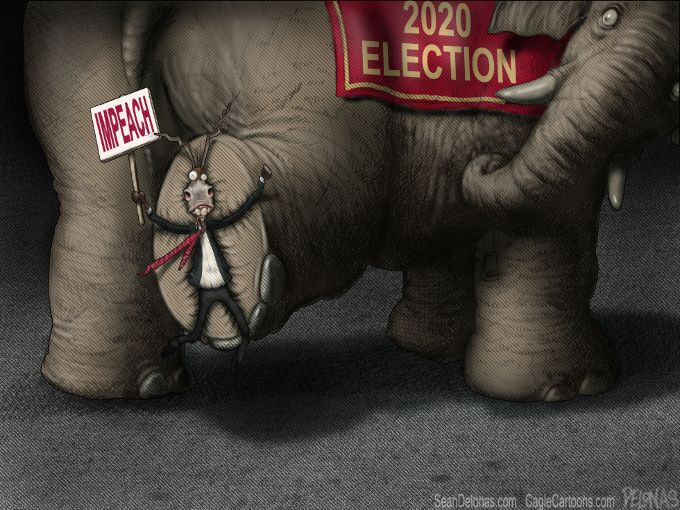2020 Elections Democrats Impeach