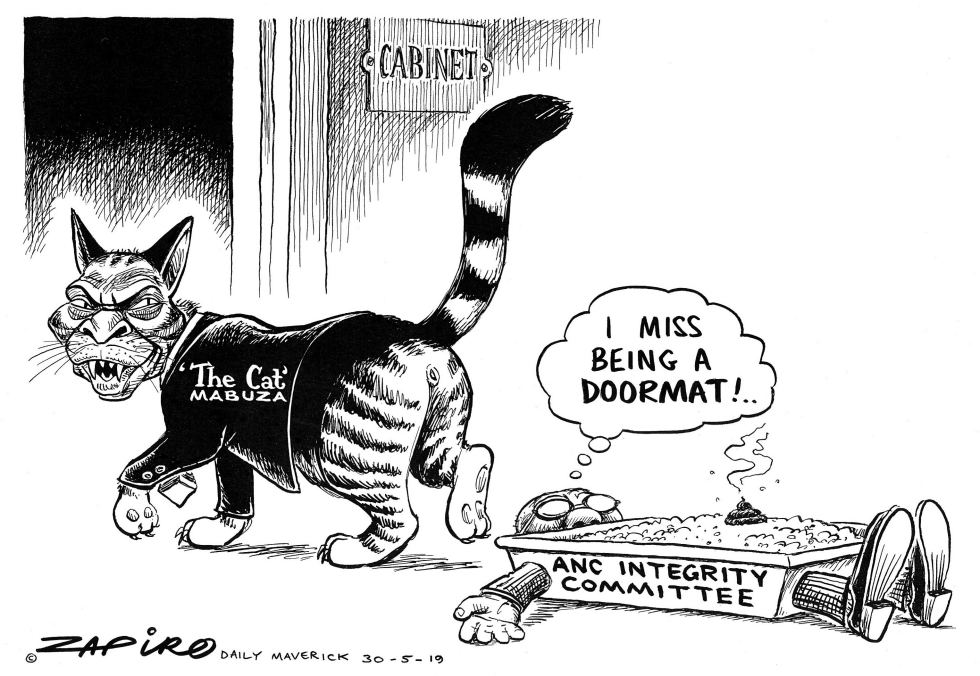 The Cat