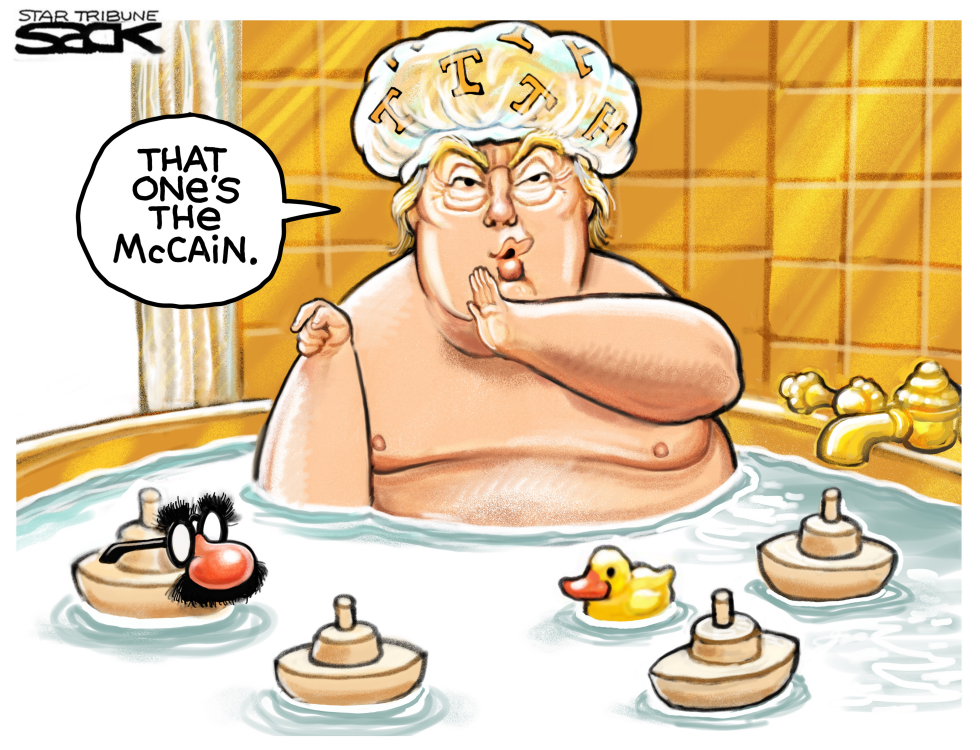 McCain Disguise