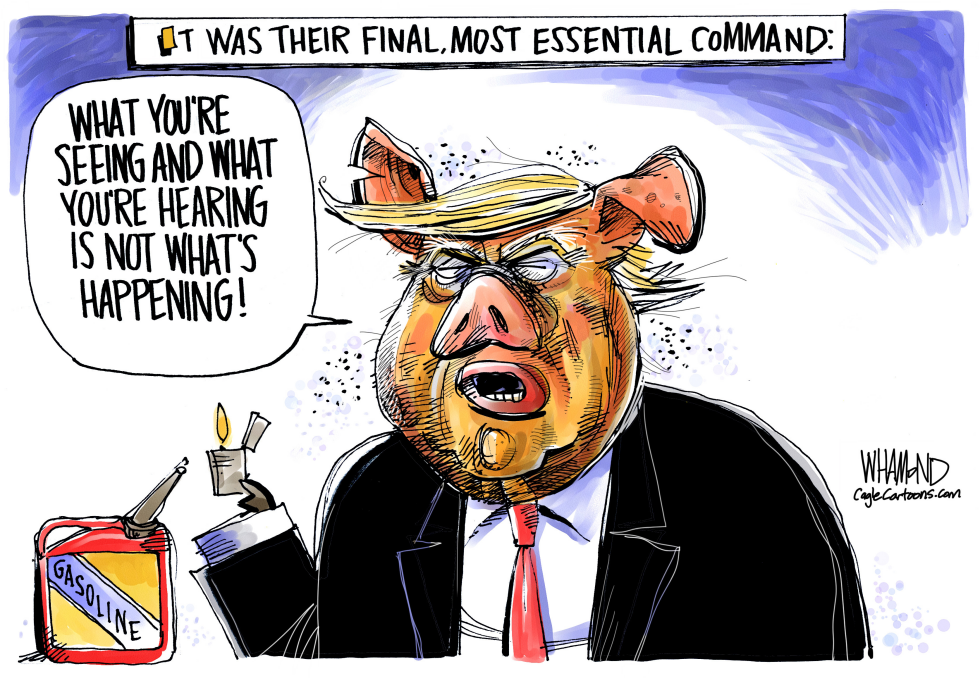 Animal Farm Sequel