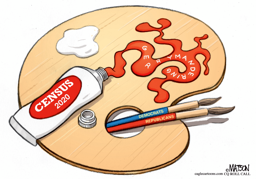 2020 Census and Gerrymandering
