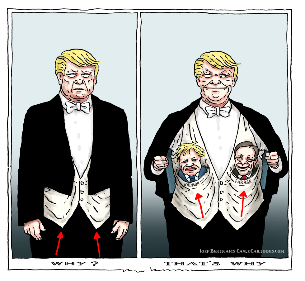  WHY THAT'S WHY by Joep Bertrams