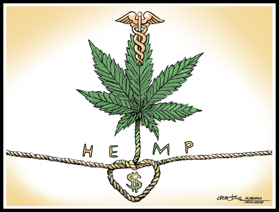 Hemp Cash Crop