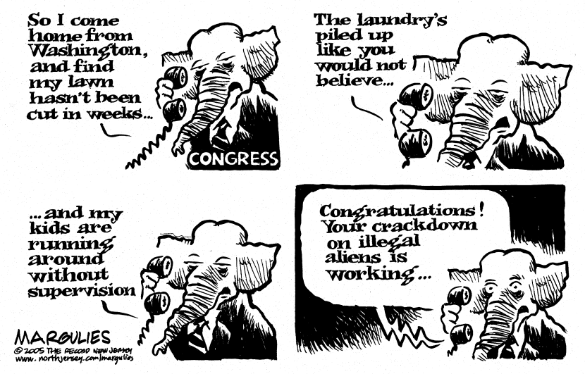 crackdown on illegal aliens