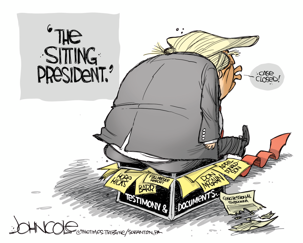  THE SITTING PRESIDENT by John Cole