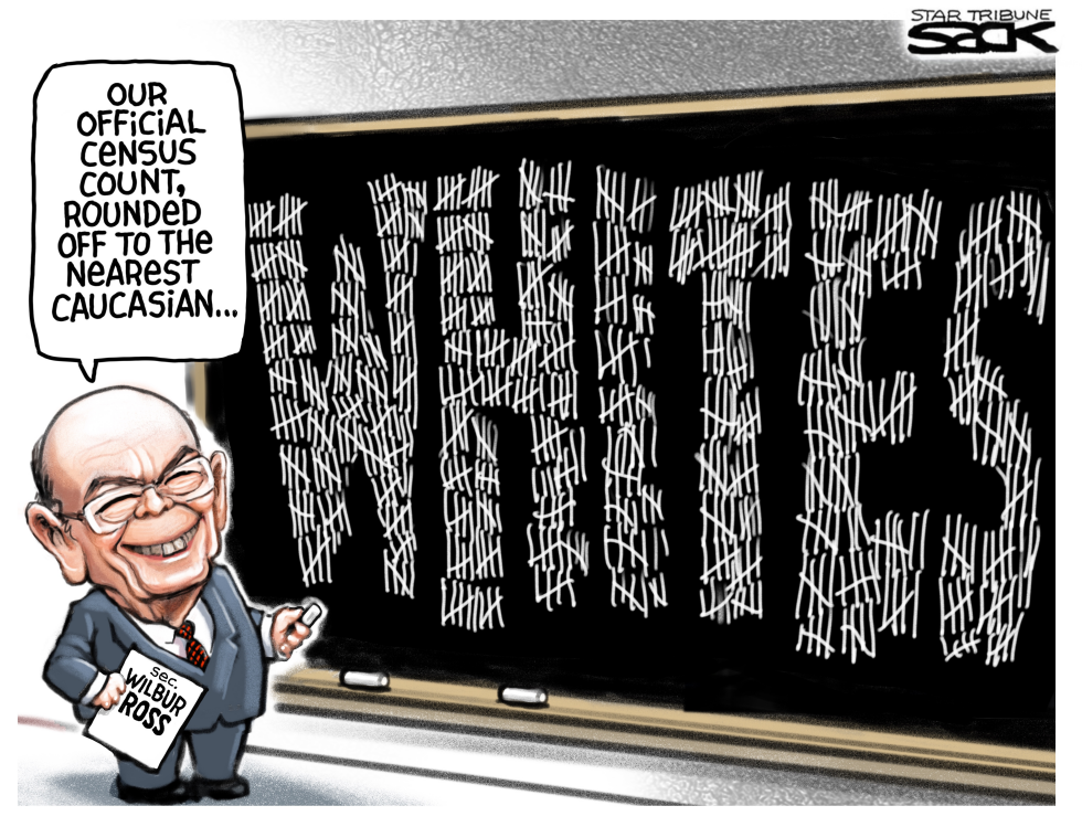  WHITE COUNT by Steve Sack