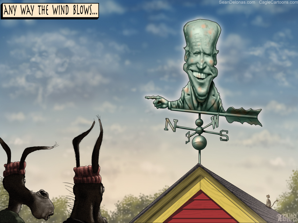 Biden Weather Vane