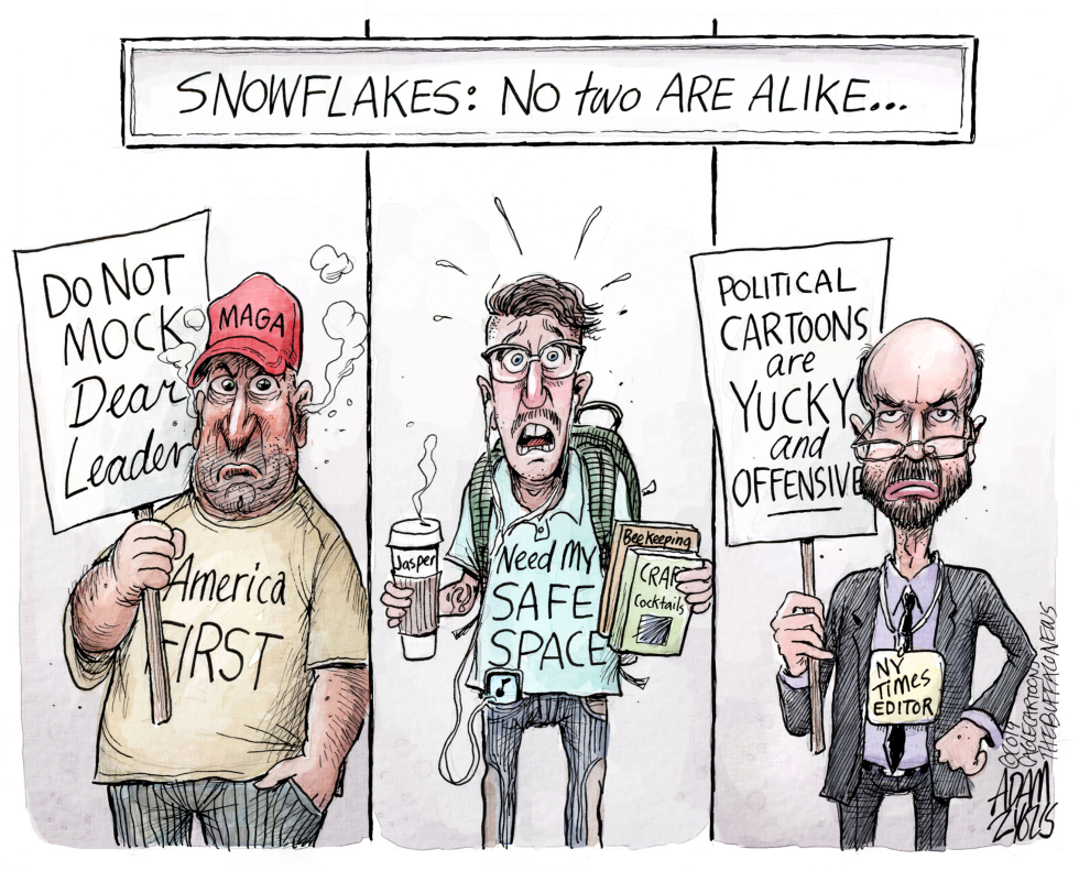  SNOWFLAKES by Adam Zyglis