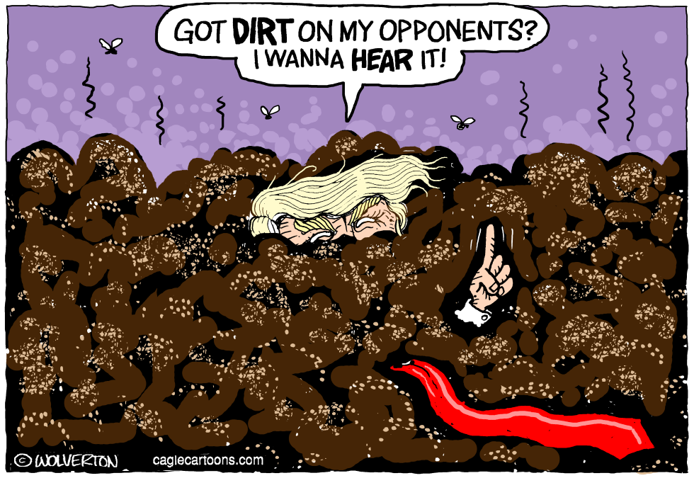  FINDING DIRT by Wolverton