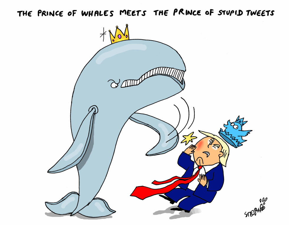  PRINCE OF WHALES by Stephane Peray