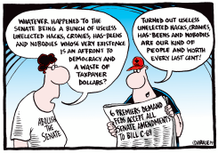 ABOLISH THE SENATE by Ingrid Rice