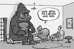 KING KONG SETTLES DOWN- BLACK  WHITE by Chris Slane