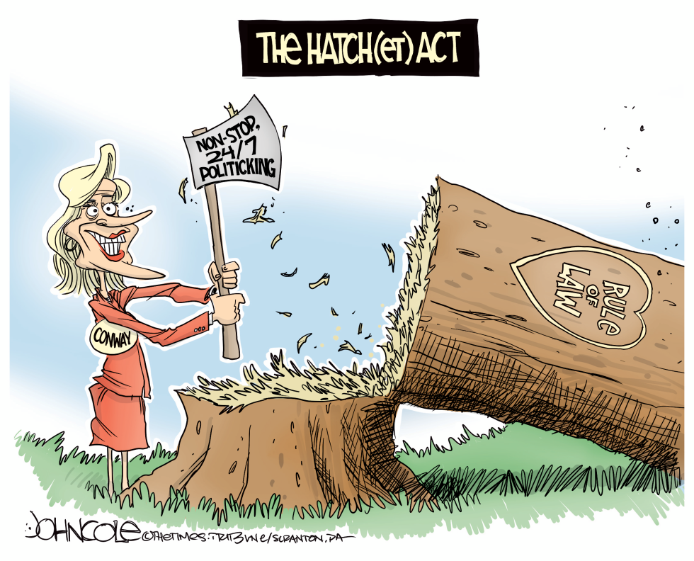 Kellyanne Conway hatchet job