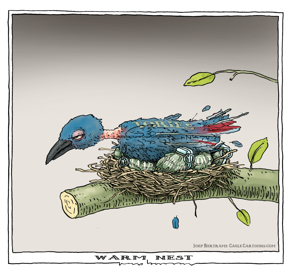 warm nest