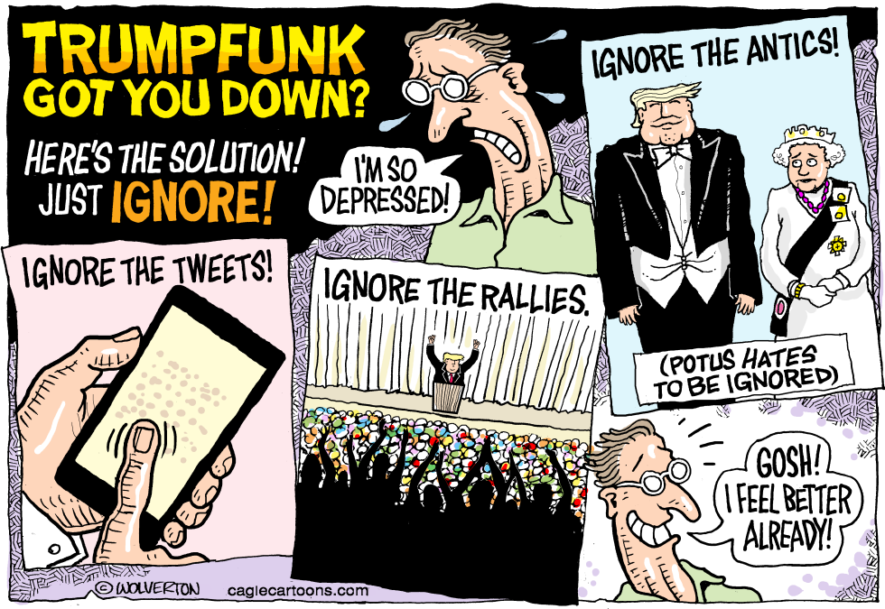  SUFFERING FROM TRUMPFUNK by Wolverton