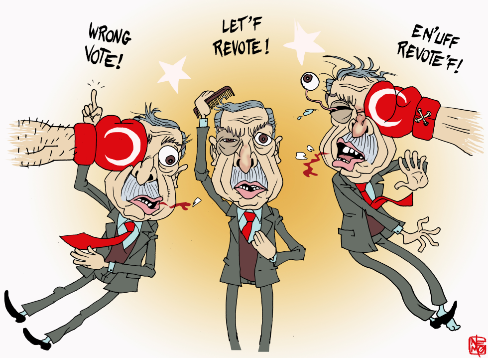 Istanbul Revote Hits Erdogan