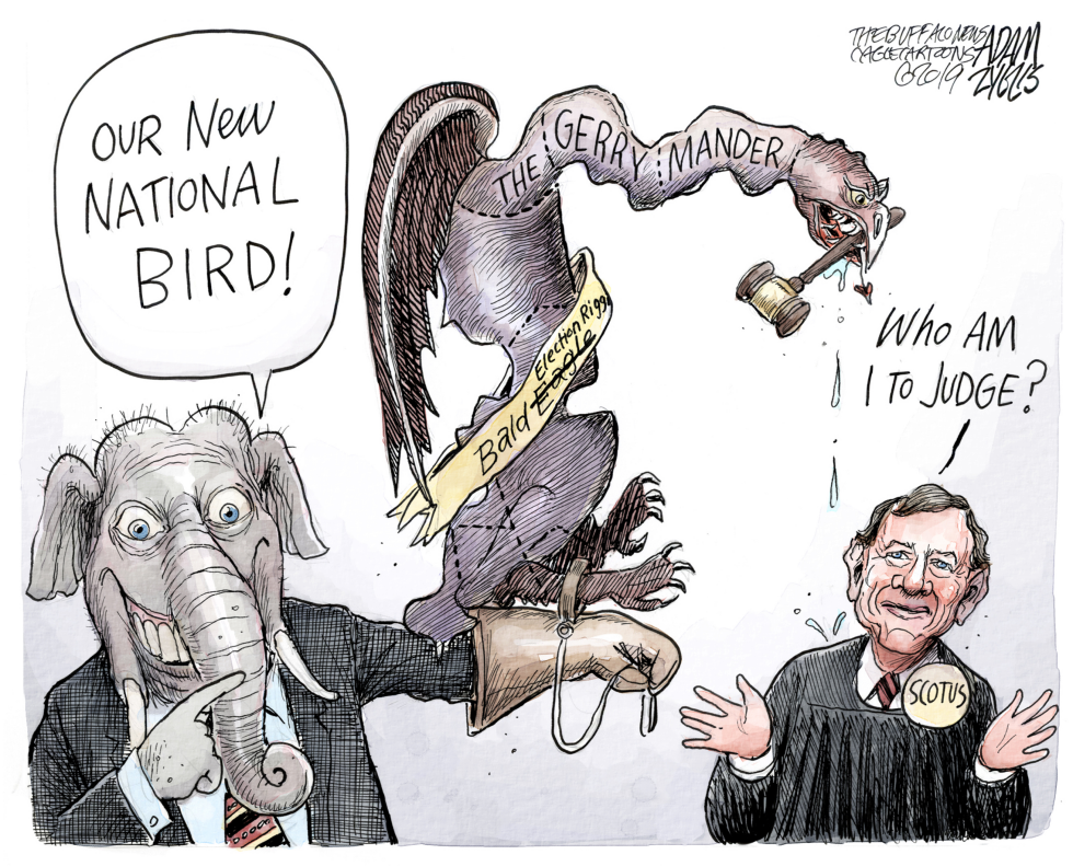 The Gerrymander