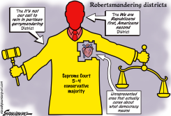 SUPREME GERRYMANDER by Steve Greenberg