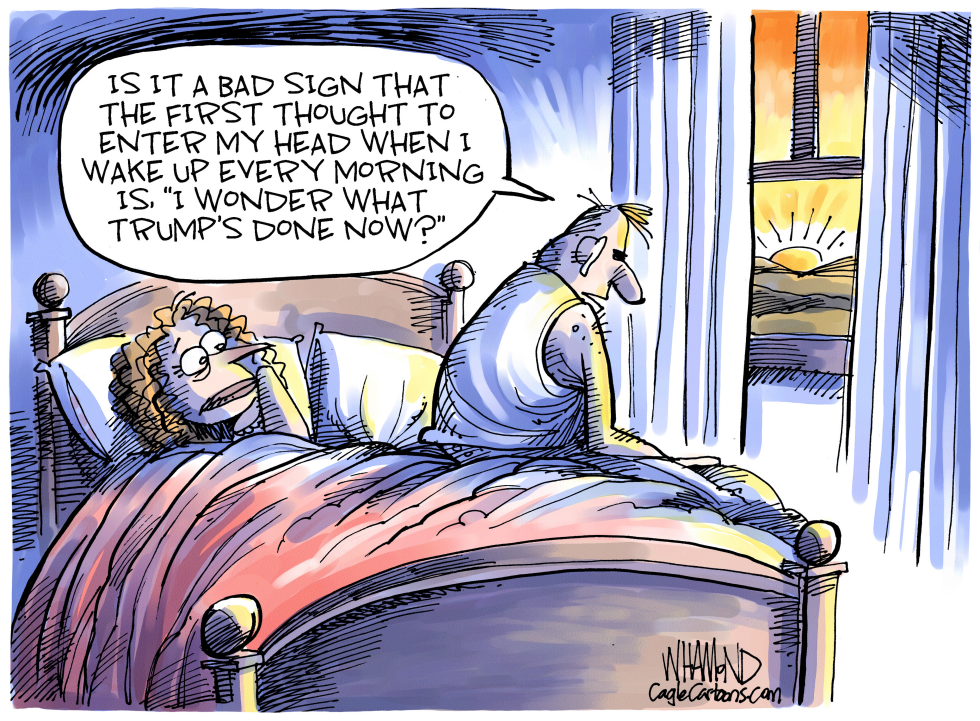  MORNING IN AMERICA by Dave Whamond