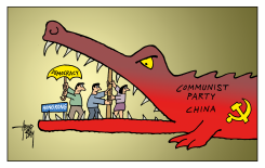 CHINA CROCODILE by Arend Van Dam